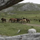 Los ganaderos babianos usan sobre todo el puerto de Pinos para la cabaña caballar.