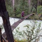 Durante recorrido Chilkoot Trail hay que sortear el río en varias ocasiones.