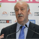 Vicente del Bosque desvelará hoy si cuenta con Torres.