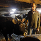Juan Carlos Pérez, ganadero de Candanedo, junto al semental de su establo. RAMIRO