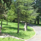 El parque Ángel González de La Pola es una auténtica muestra del paisaje del municipio.