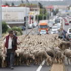 jesús f, salvadores
