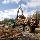 En León se aprovecha una media de 150.000 toneladas de madera al año. MARCIANO PÉREZ
