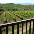 La mítica finca de La Padorniña, de 18 hectáreas de extensión, vista desde la balconada de la casa solariega que la preside. B. FERNÁNDEZ