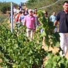 Visita guiada a un viñedo de una de las bodegas del Bierzo, en imagen de archivo. ANA F. BARREDO