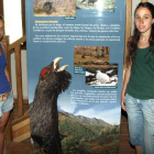 Alicia Izquierdo y Lucía Martín, junto a uno de los paneles que informan sobre el urogallo.