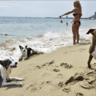 La pequeña zona de la playa de Llevant habilitada para los perros. / ¡