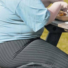 La obesidad aumenta la probabilidad de defunción y de contraer enfermedades graves.