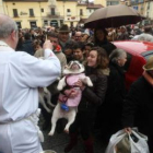 Dos mascotas juegan en los prolegómenos de la bendición tradicional en la plaza de San Marcelo.