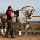 Álvaro dirige a uno de los cuarenta caballos que tiene en el Centro Marialva y que entrena con una rutina diaria que incluye una hora caminando en la noria, paseos libres en el prado junto a la manada y técnica con el jinete.