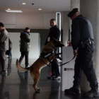 Un perro policía de la Unidad Canina de los Mossos explorando una papelera durante el Mobile World Congress