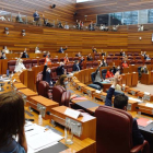 Votación a mano alzada durante la sesión plenaria celebrada esta mañana en las Cortes de Castilla y León. NACHO GALLEGO