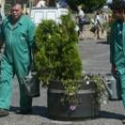 Unos jardineros durante su trabajo en una de las plazas de León