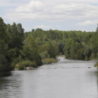 El río Órbigo a su paso por Carrizo de la Ribera.