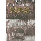 El escritor leonés Raúl Guerra Garrido