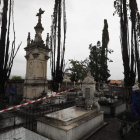 Estado en el que han quedado los cipreses afectados por el fuego de la tarde del martes. L. DE LA MATA
