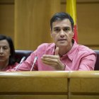 El secretario general del PSOE, Pedro Sánchez, ayer en el Senado. LUCA PIERGIOVANNI