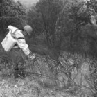 Un trabajador de una cuadrilla forestal, en una imagen de archivo