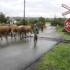 En el municipio de Villaquilambre existen seis pasos a nivel con barrera y otros cuatro sin ella