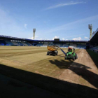 Los trabajos de renovación y acondicionamiento del terreno de juego de El Toralín ya se han puesto en marcha. SDP