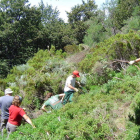 Las actividades se centran en labores de conservación.