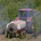 Un tractor fumiga una parcela de manzanos en el Bierzo central, en una imagen de archivo.