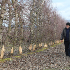 Víctor Lobato, agricultor de Narayola, ayer en una finca de frutales con la base comida. L. DE LA MATA