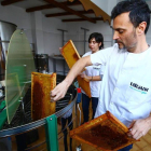 El sector de la miel sigue creciendo en la provincia