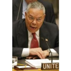 Colin Powell durante su intervención ayer en la ONU