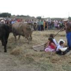 Los niños disfrutaron con los paseos sobre el trillo