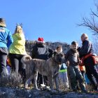 Hasta algún perro se animó a realizar el recorrido. CASTRO