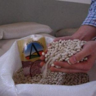Un saco de simiente de alubia de calidad de La Bañeza