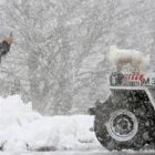 Un hombre toma una fotografía de su perro en medio de una fuerte nevada