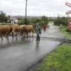 Paso a nivel de El Molino en Villaquilambre, que en breve contará con barreras automatizadas