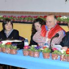 acacio