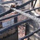 LUIS CANAL / CUERPO DE BOMBEROS