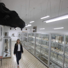 El Museo de los Paúles está compuesto por casi 4.000 piezas, alguna de finales del S XIX.