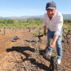 José Arias, ayer en el paraje de Valdemagaz, en Magaz de Abajo (Camponaraya). L. DE LA MATA