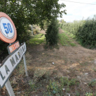 Imagen tomada ayer en una de las fincas de frutales de La Martina, situada junto a la carretera.