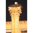 La cigüeña, anoche, en su nido de la columna trajana.
