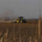 El anteproyecto regula desde los arrendamientos de tierra hasta la calidad del producto transformado.