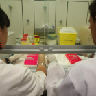 Investigadores del Instituto de Biomedicina, Ibiomed. NORBERTO