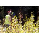 Los trabajadores de la empresa pública Tragsa ya han comenzado estos días con las tareas de adecentamiento.
