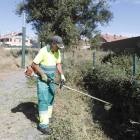 Los trabajos de desbroce del nuevo sendero los está realizando la brigada municipal de obras.