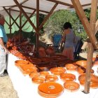 La muestra comenzará a las 11.30 horas.