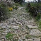 «A veces no hacer nada, no tomar posiciones puede ser lo más conveniente para lograr buenos fr