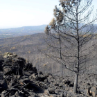 Los efectos devastadores del incendio.