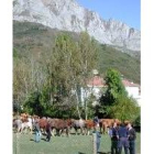 La feria de ganado se celebra en el paraje de Cordavias