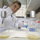Uno de los investigadores de Inbiotec, ubicado en el Parque Científico de la Diputación