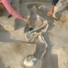 Imagen del esqueleto del Hombre de Mungo, que vivió hace 40.000 años